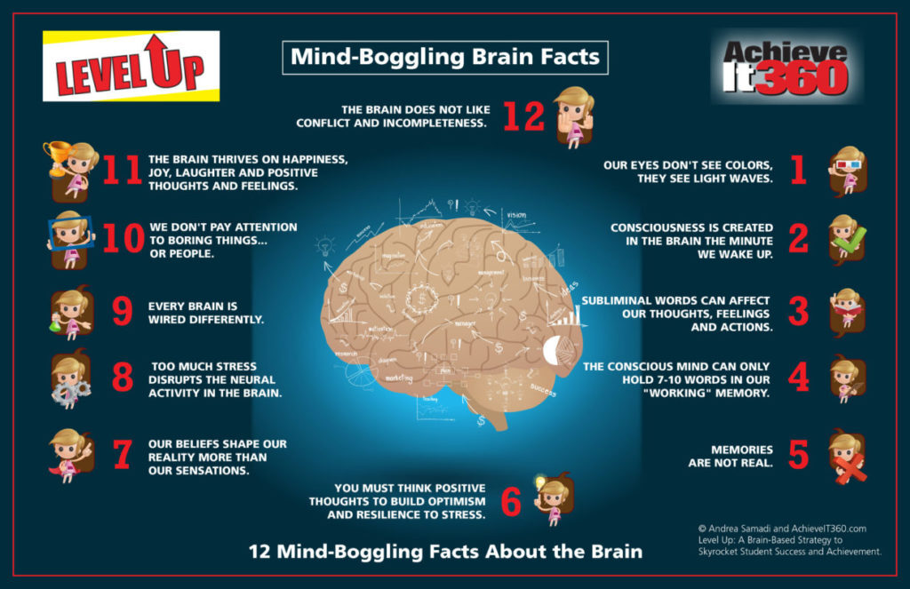 12-Mind-Boggling-Brain-Facts-1024x663.jpg
